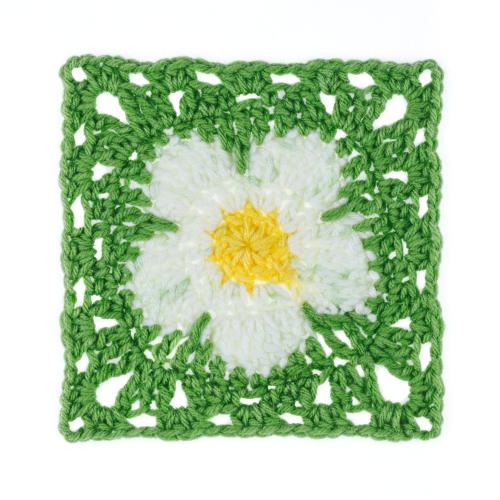 Red Heart Flower Power 250G