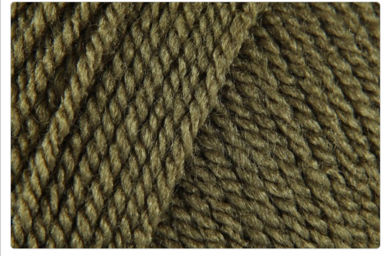 Stylecraft Special DK 100G