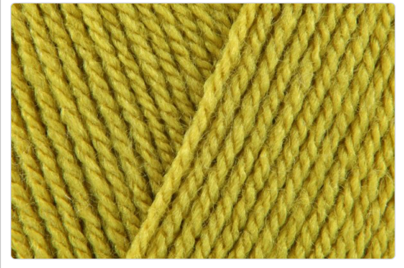 Stylecraft Special DK 100G