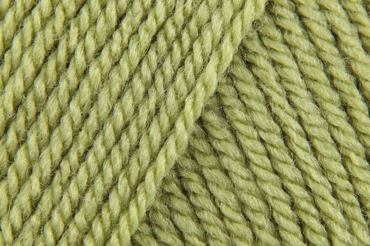 Stylecraft Special DK 100G