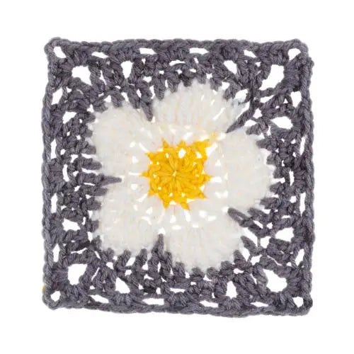 Red Heart Flower Power 250G