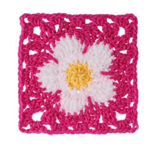 Red Heart Flower Power 250G