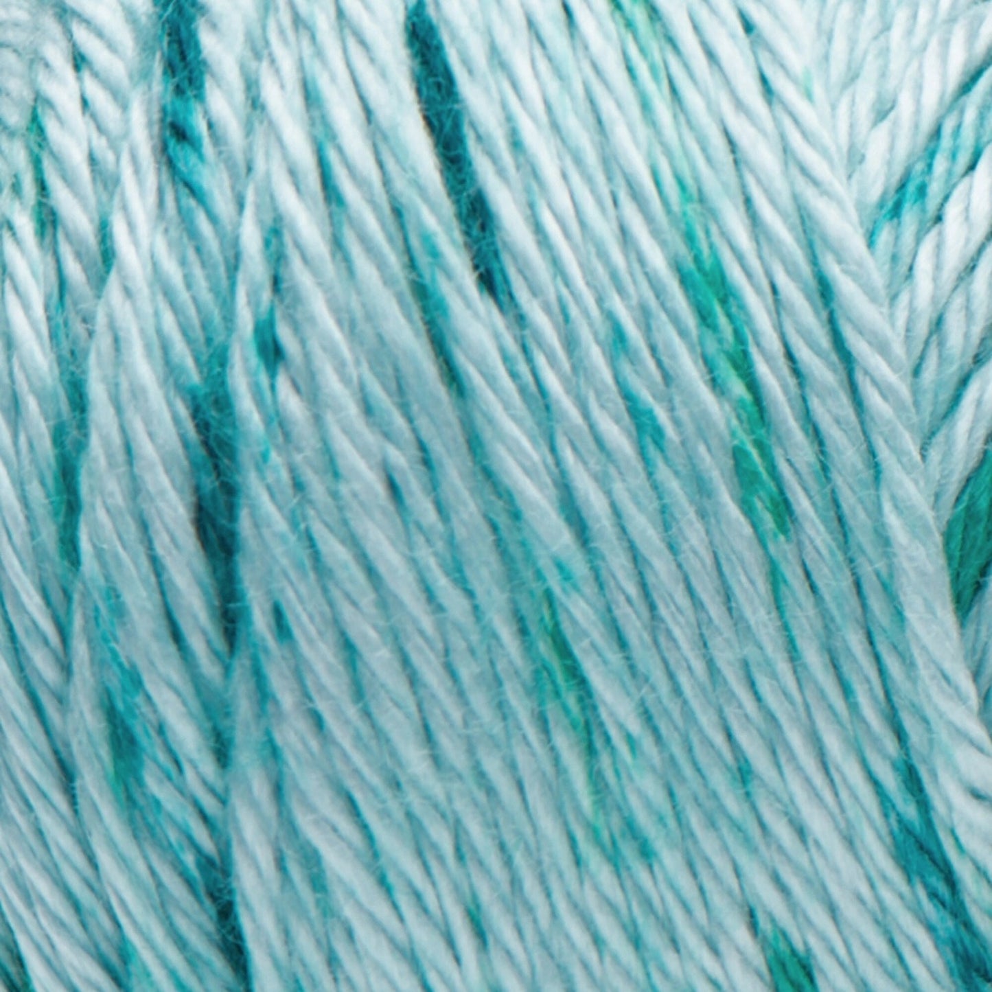 Caron Simply Soft Aran 1x 141G Speckle