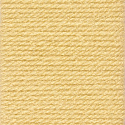 Stylecraft Special DK 100G