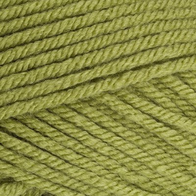 Stylecraft Special Chunky 100G